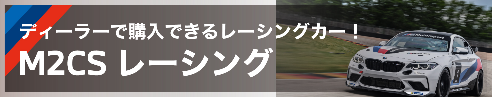 ディーラーで購入できるレーシングカー！M2CSレーシング