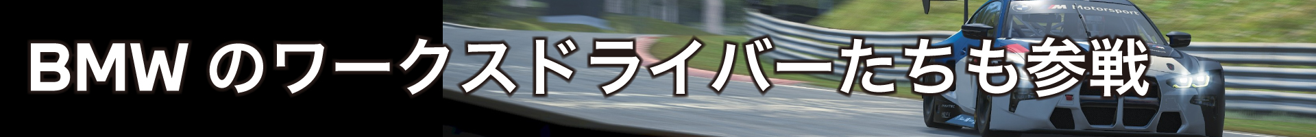BMWのワークスドライバーたちも参戦