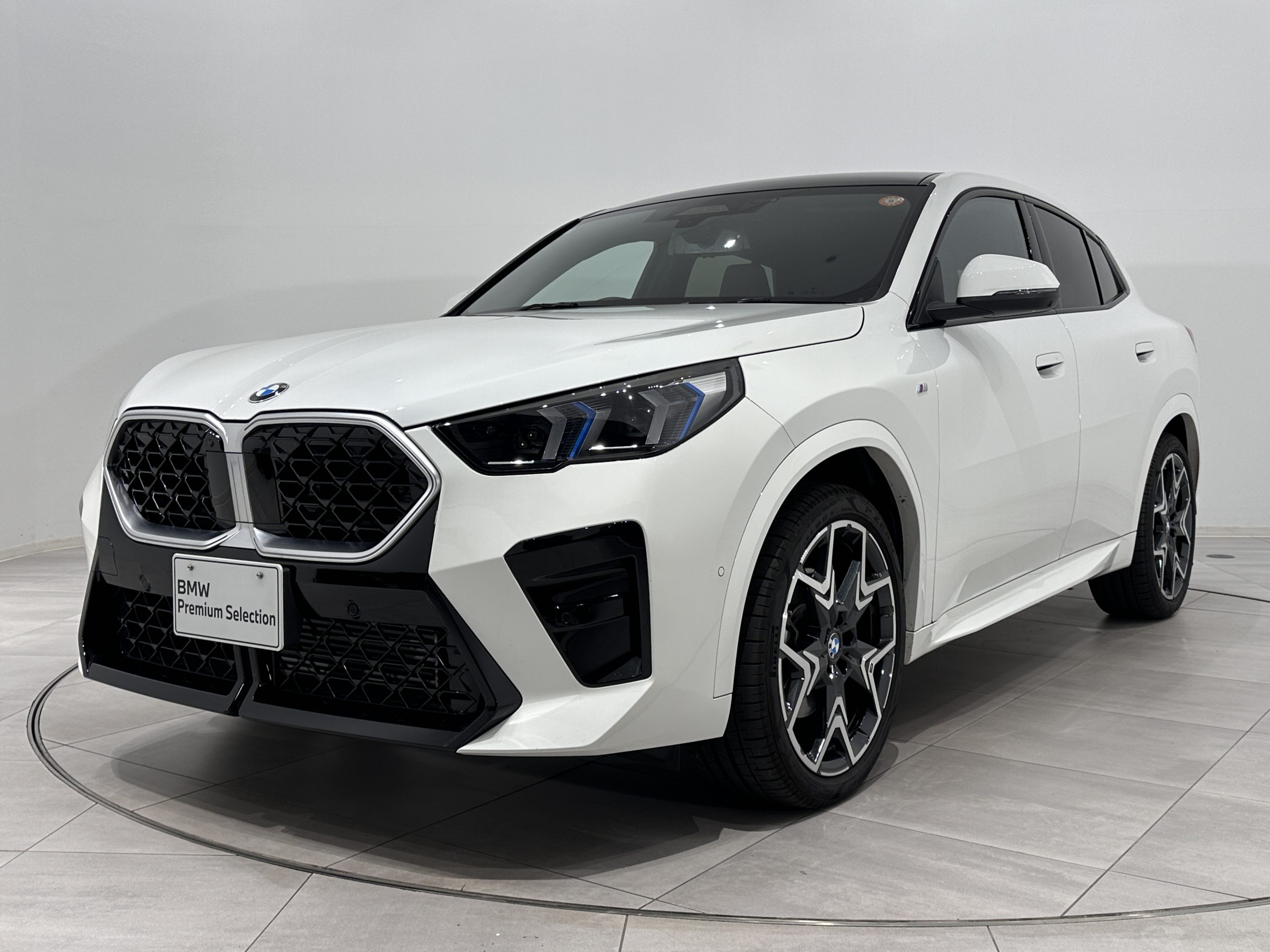 BMW X2 xDrive20i M Sport