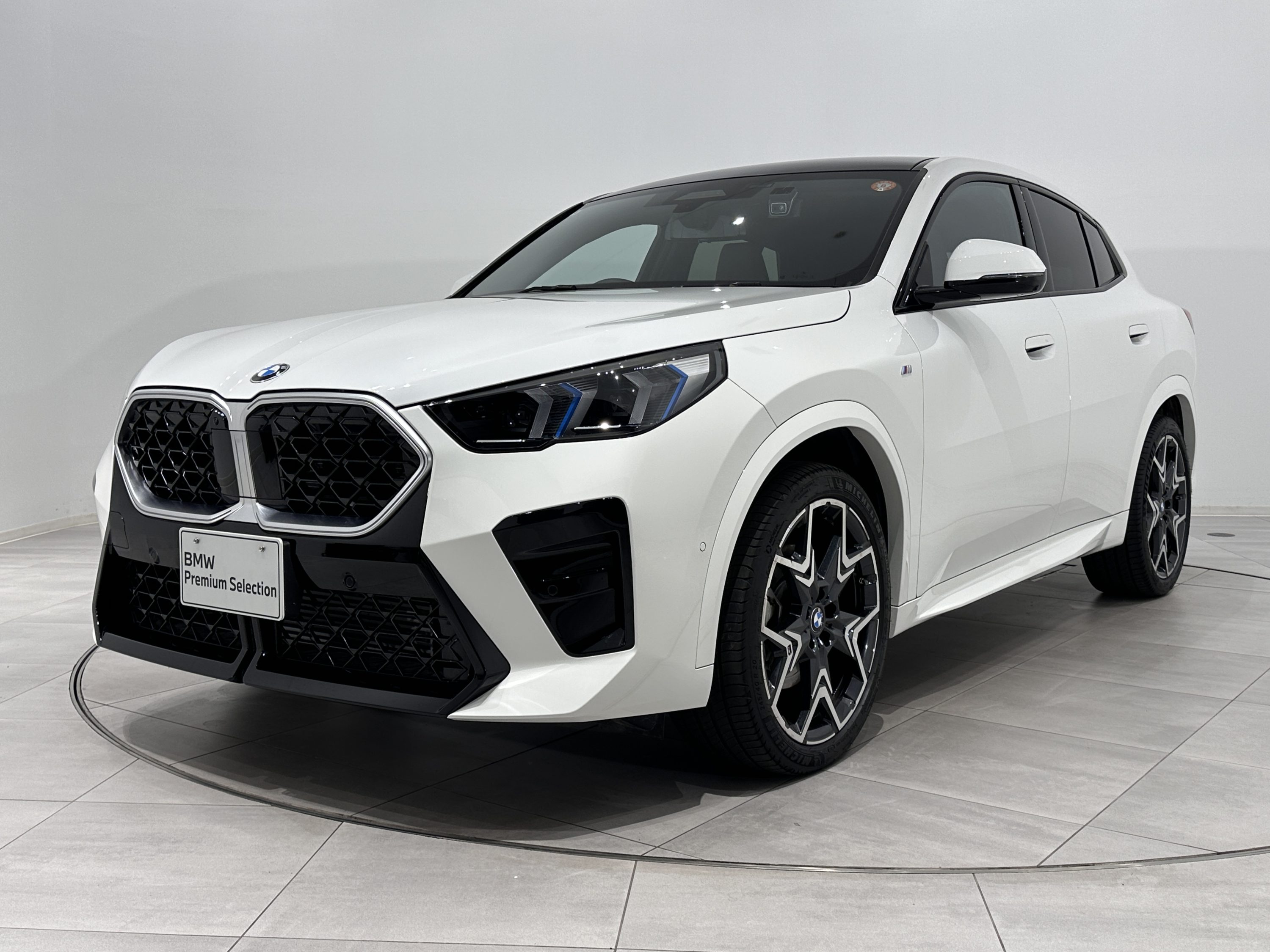 BMW X2 xDrive20i M Sport
