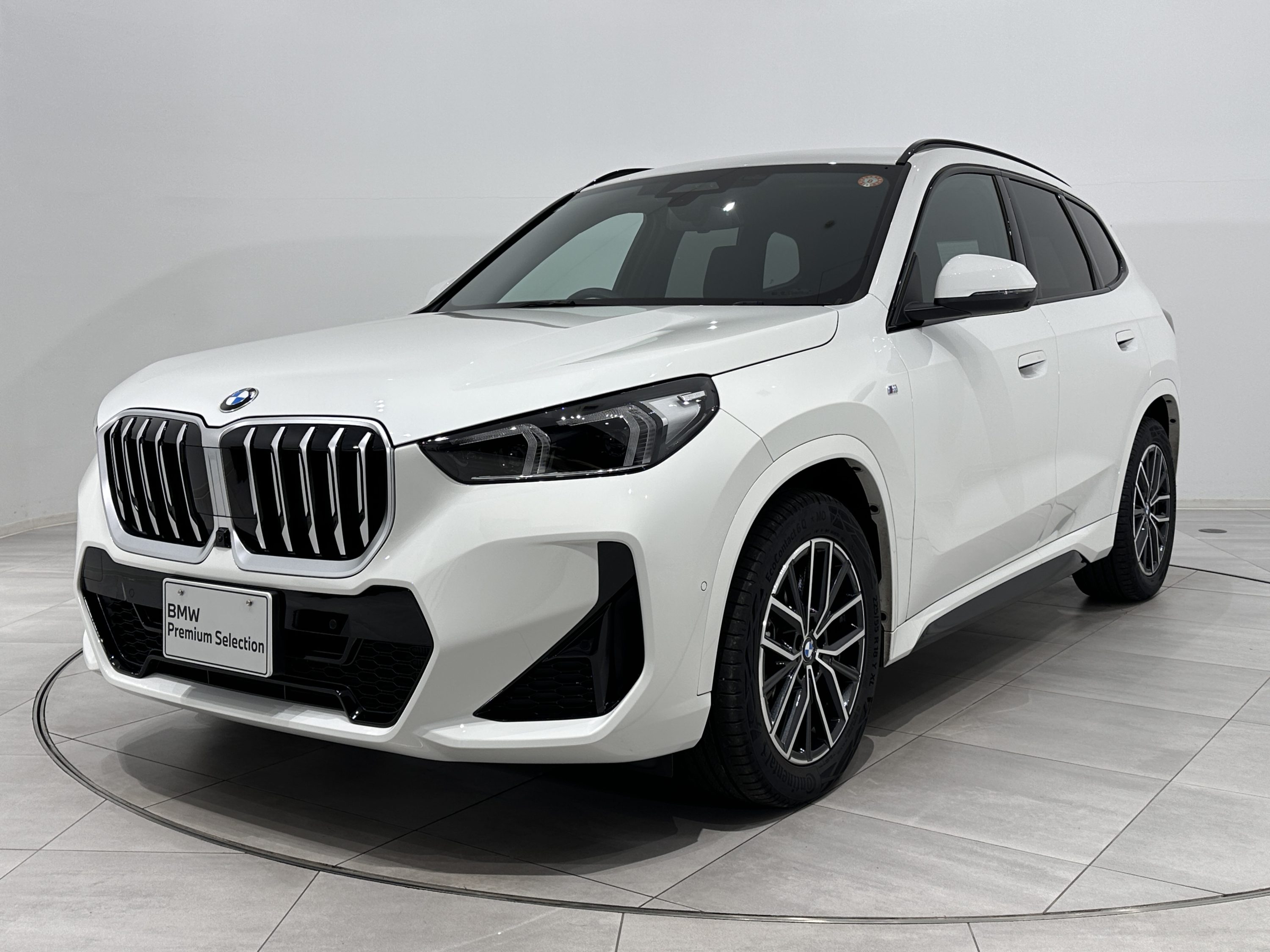 BMW X1 xDrive 20d M Sport