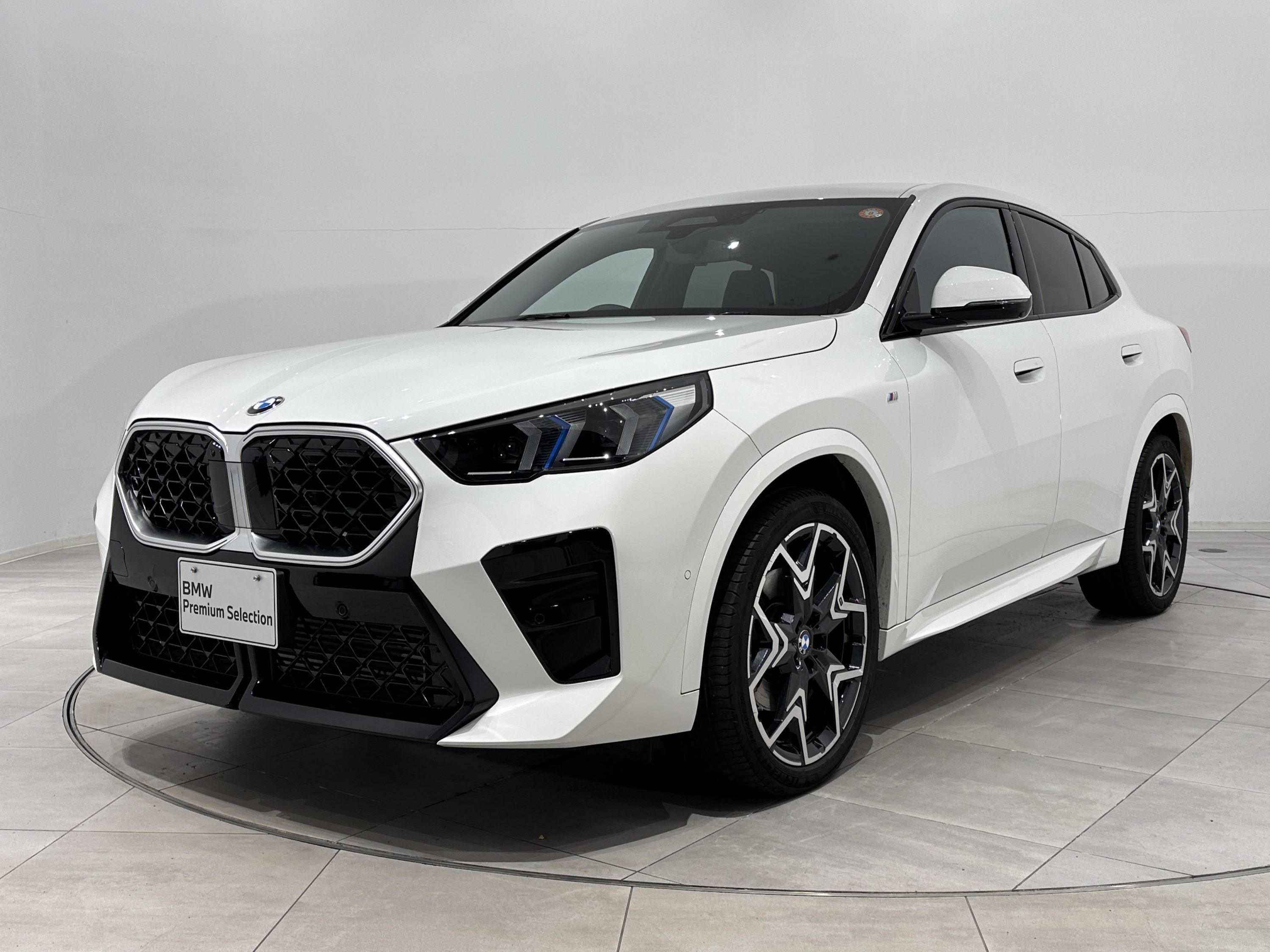 BMW X2 xDrive20i M Sport